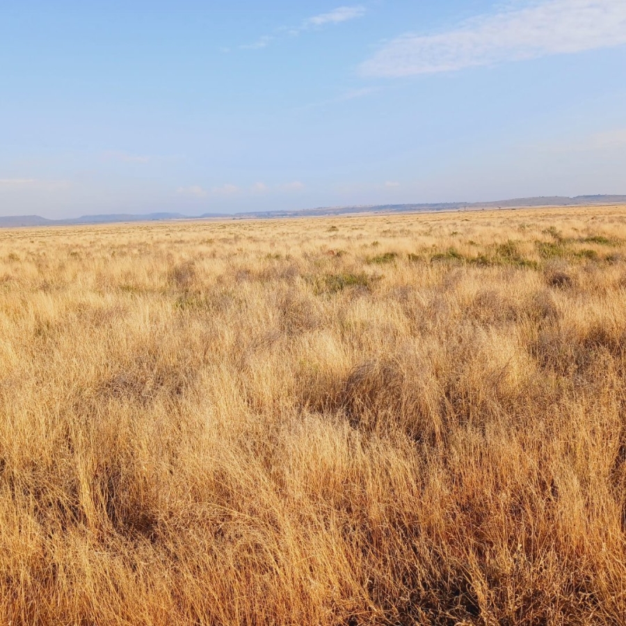  Bedroom Property for Sale in Jacobsdal Rural Free State